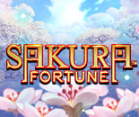 Sakura Fortune